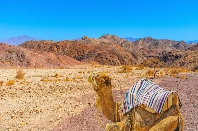 Jordan in Two Weeks: A Journey Through Ancient Wonders