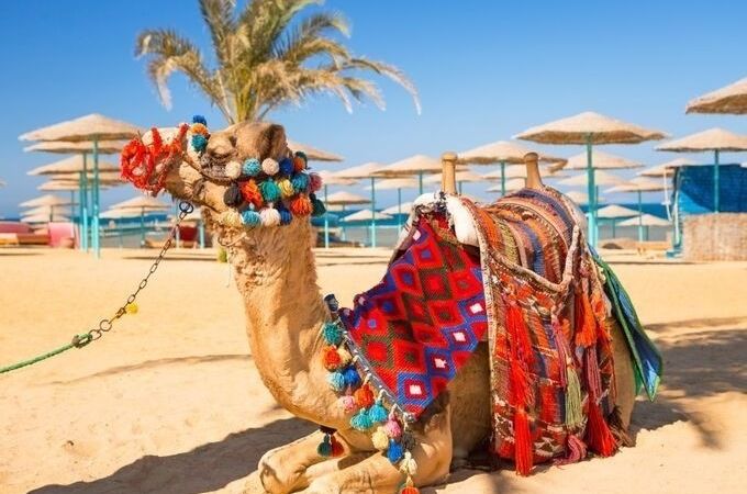 Egypt Weather in April: An Extensive Guide