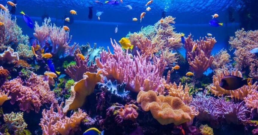 Hurghada, Egypt: Red Sea Paradise Guide